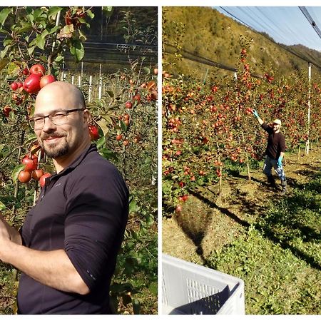 Agriturismo Pian Dei Tass Barcis Exteriör bild