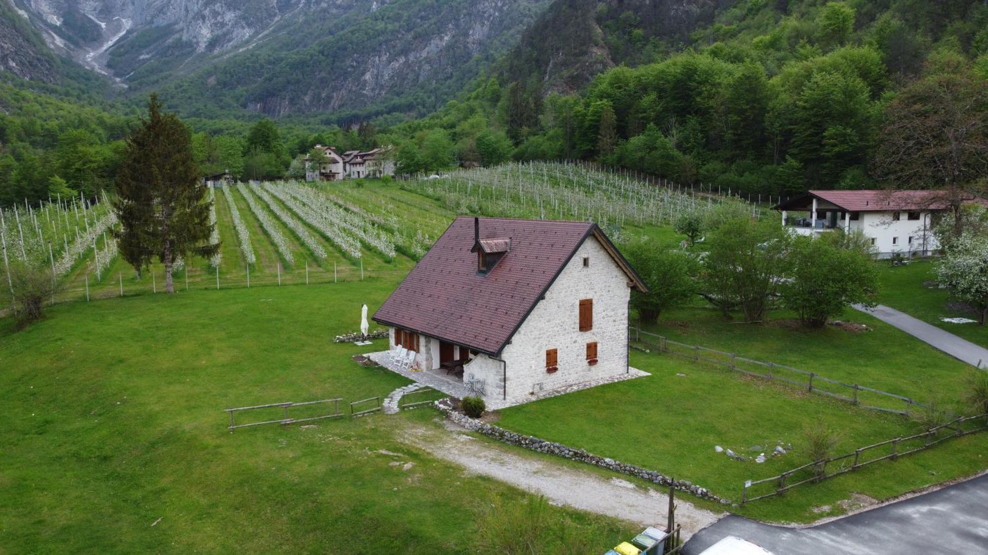 Agriturismo Pian Dei Tass Barcis Exteriör bild