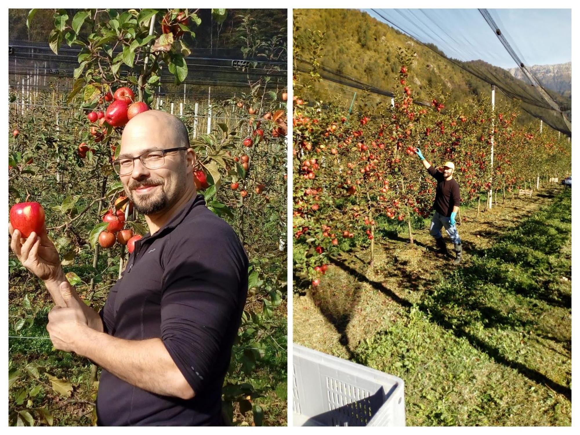 Agriturismo Pian Dei Tass Barcis Exteriör bild