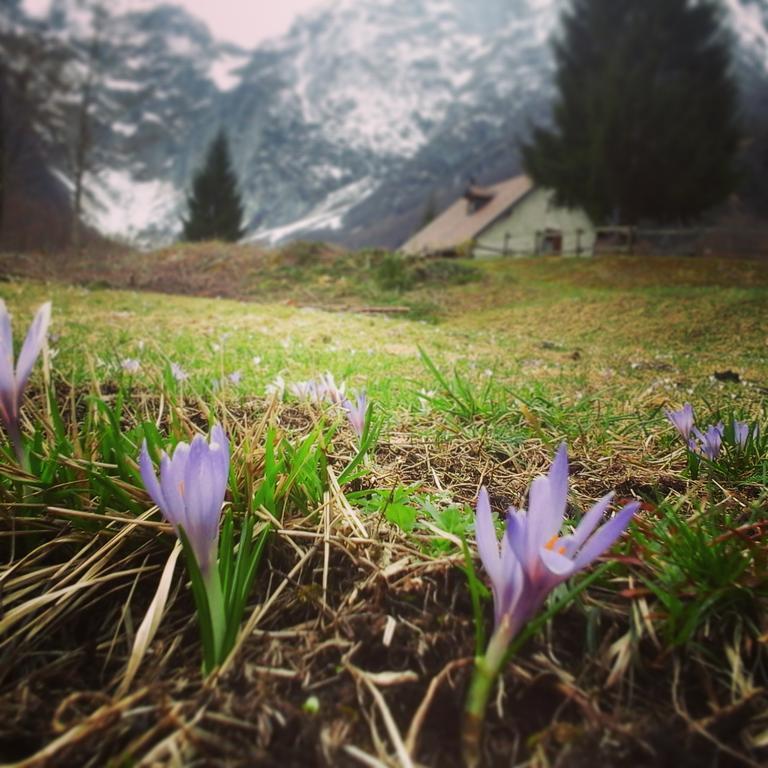Agriturismo Pian Dei Tass Barcis Exteriör bild